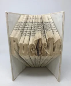 E. Lawrence THE HOME ORIGAMI FOLDED FUCK IT BOOK