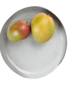 Blue Pheasant MARCUS CEMENT GLAZE STONEWARE DINNERWARE