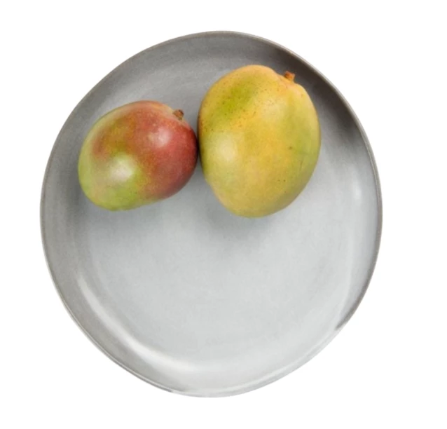 Blue Pheasant MARCUS CEMENT GLAZE STONEWARE DINNERWARE