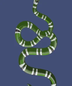 Nicolette Mayer Collection SERPENT VANITY TRAY