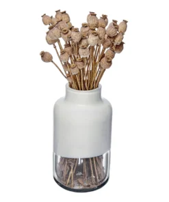Nude Glassware MAGNOLIA VASE | TALL | WHITE THE HOME