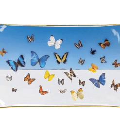 Chronicle Books GRAY MALIN BUTTERFLY CATCHALL