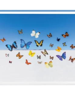 SERVING GRAY MALIN BUTTERFLIES TRAY