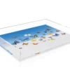 SERVING GRAY MALIN BUTTERFLIES TRAY