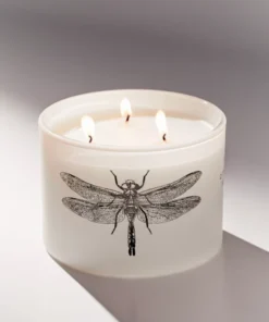 SKEEM DESIGN CANDLELIGHT CITRONELLA CANDLE SEA SALT