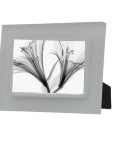 Prisma PRISM FRAME SMOKE THE HOME