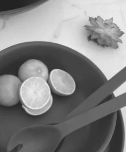 Nashi Home LUXE RESIN EVERYDAY SALAD SERVERS SERVING