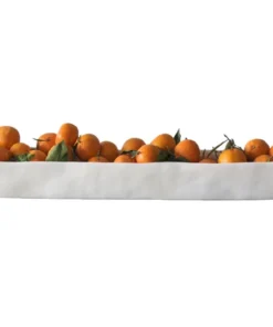 Tina Frey Designs RESIN TROUGH | TINA FREY | LONG | WHITE THE HOME