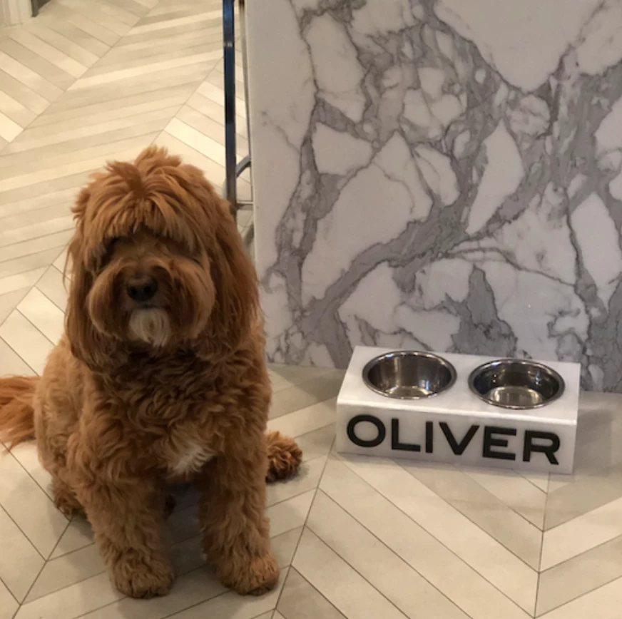 EYE CANDY PERSONALIZED ACRYLIC DOG BOWL | STANDARD & MINI SIZES