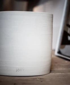 1889 WaxLighting CLARISSE CANDLE BARON CANDLELIGHT