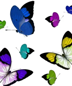 Nicolette Mayer Collection BUTTERFLIES VANITY TRAY THE HOME